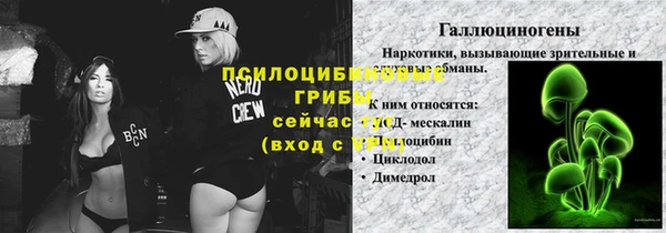 ALPHA PVP Иннополис