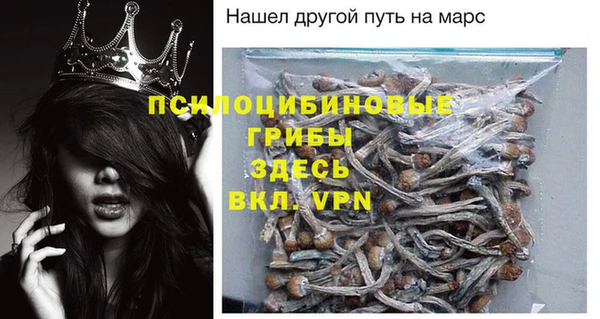 скорость Алзамай