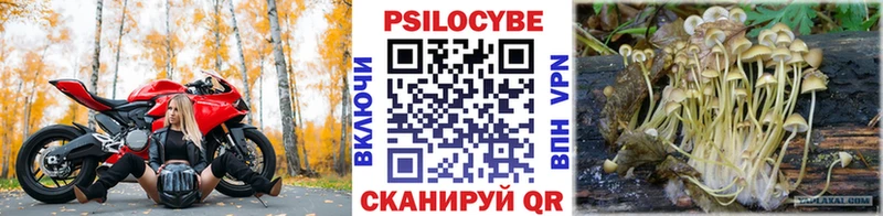 купить закладку  Ржев  Галлюциногенные грибы GOLDEN TEACHER 