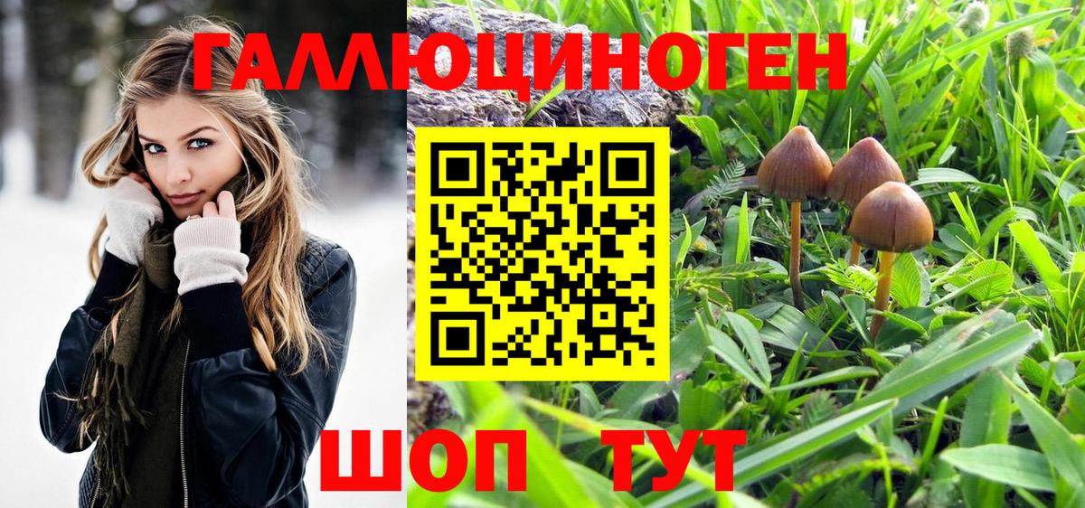 Галлюциногенные грибы GOLDEN TEACHER Ржев