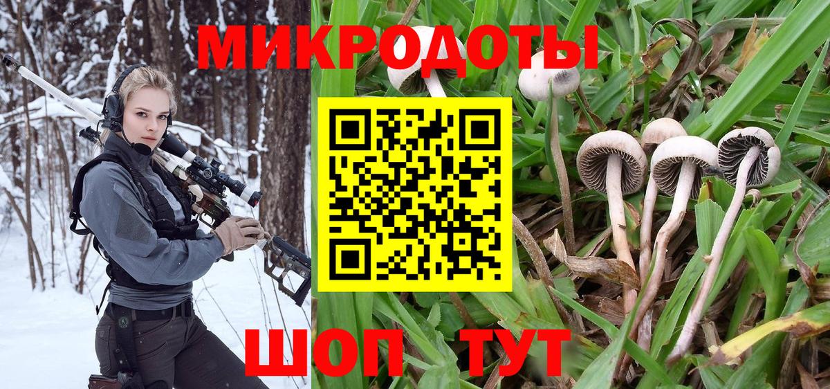 Галлюциногенные грибы прущие грибы  Псилоцибиновые грибы мухоморы  Ржев  купить наркотики цена  Вход с VPN 